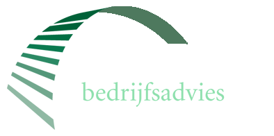 VDM LOGO